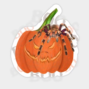 Halloween Pumpkin & Spider Design Sticker
